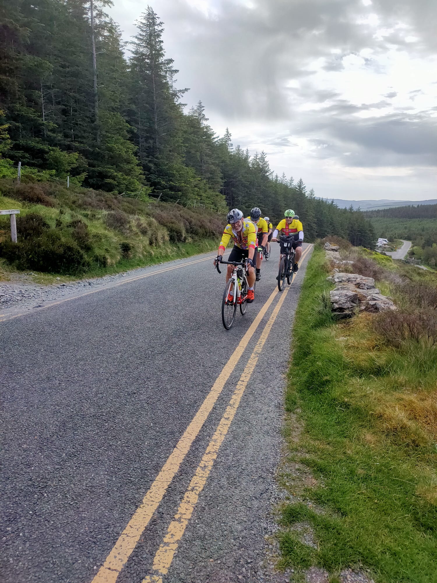 Sulla Military Road tra le foreste delle Wicklow Mountains